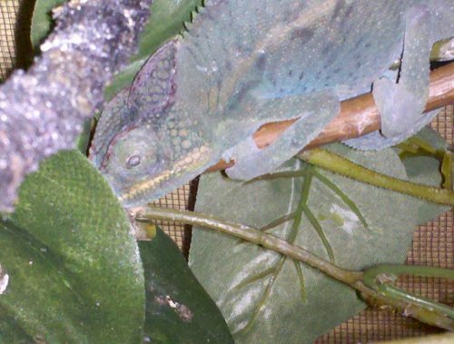 2009-12-22 20.30.07.jpg