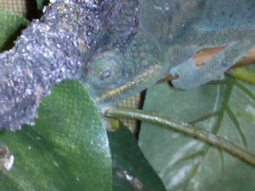 2009-12-22 20.30.24.jpg