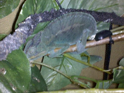 2009-12-22 20.31.11.jpg