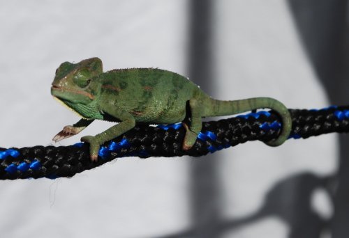 smallDSC_2546.jpg smallDSC_2546.jpg