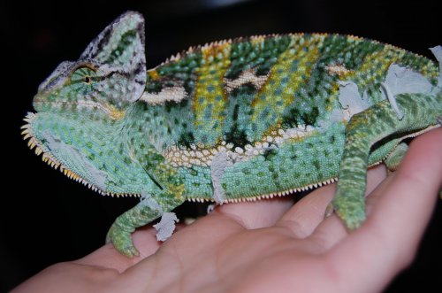 DSC_0114.jpg