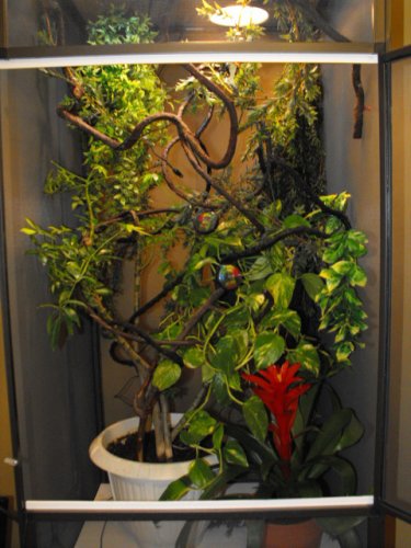 cage 2 007.jpg