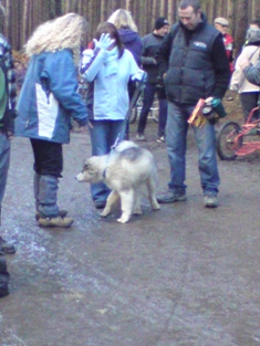 DSC002111.jpg