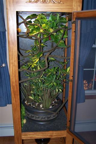 100_2333 (Small).JPG