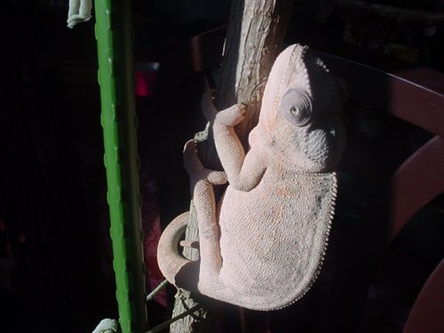 DSC00036.JPG