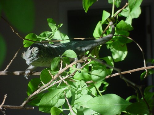 DSC00038.JPG