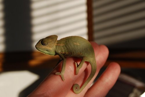 DSC_2625.jpg