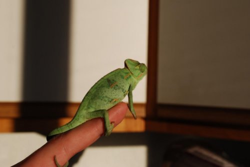 DSC_2634.jpg
