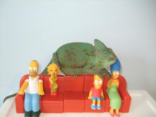 clea and I are back 001.jpg