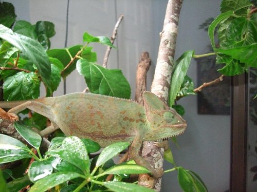 clea and I are back 002.jpg