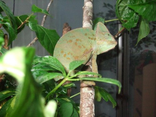 clea and I are back 005.jpg