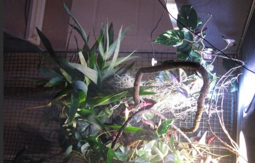 enclosure.jpg