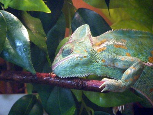 21st Jan 2010 Again.jpg