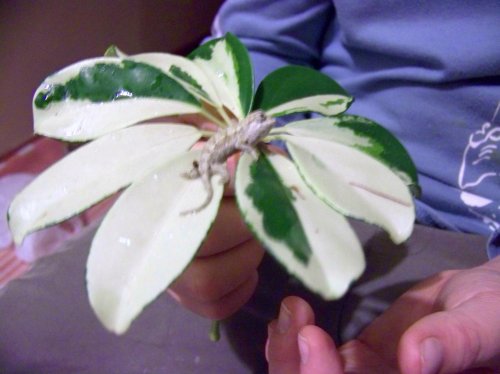 100_2731.jpg