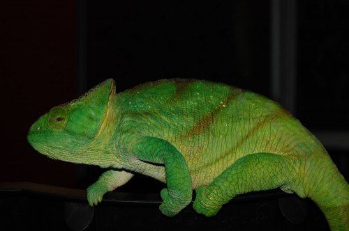 random things 008.jpg