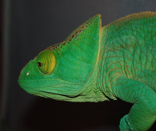 random things 003.jpg