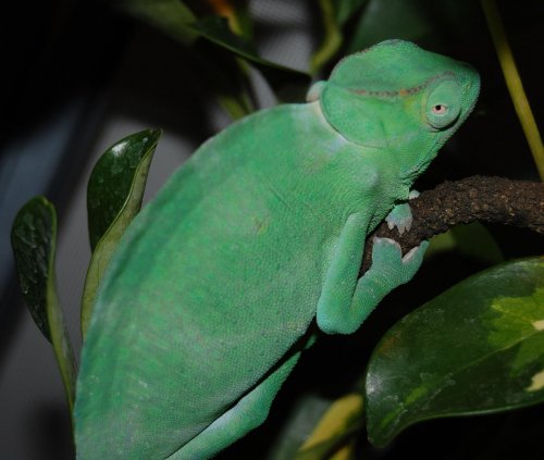 random things 006.jpg