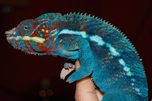 random things 007.jpg