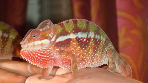 Picture 041.jpg