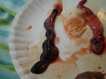 Black Intestines- had blood in them.jpg