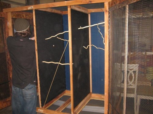 cham cage.jpg