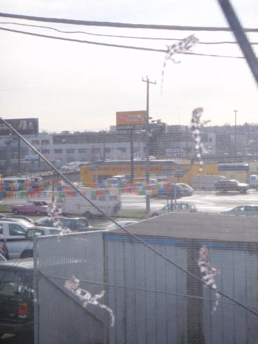 Picture 140.jpg
