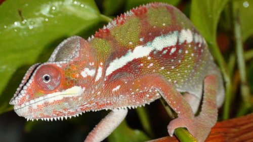 Picture 6-29-09 556.jpg