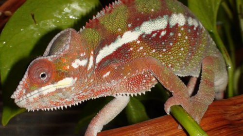 Picture 6-29-09 559.jpg