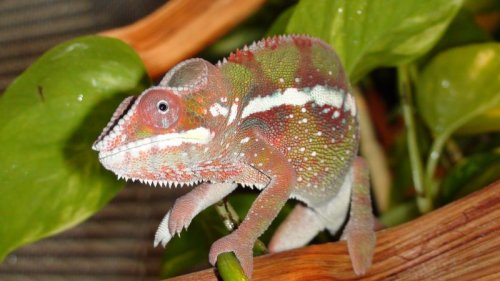 Picture 6-29-09 561.jpg