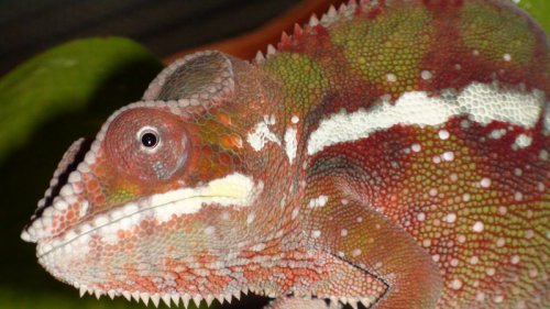 Picture 6-29-09 563.jpg