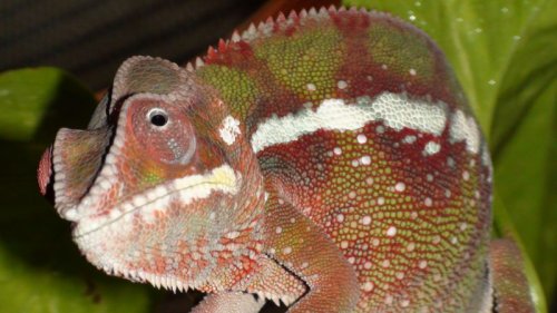 Picture 6-29-09 564.jpg