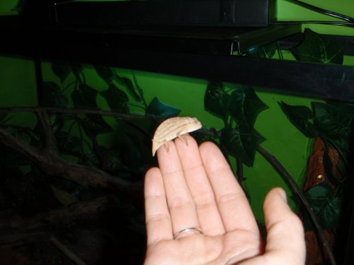 Picture 006.jpg
