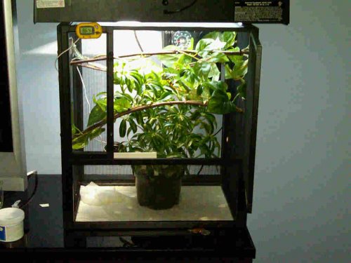 cage1.jpg