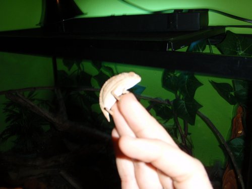 Picture 007.jpg