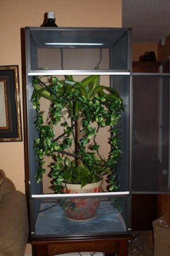 20100204_0052.jpg
