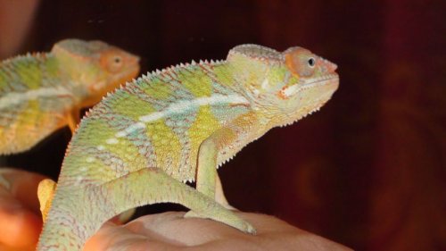 Picture 6-29-09 565.jpg