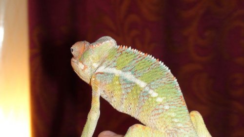 Picture 6-29-09 568.jpg