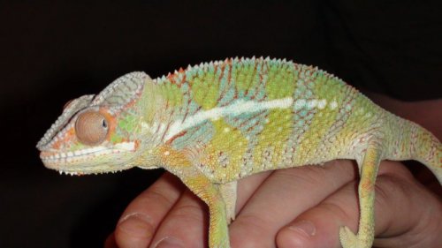 Picture 6-29-09 569.jpg