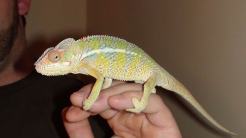 Picture 6-29-09 570.jpg