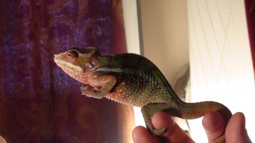 Picture 6-29-09 571.jpg