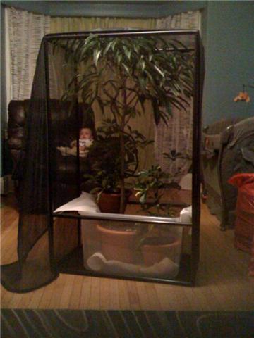Enclosure1.jpg