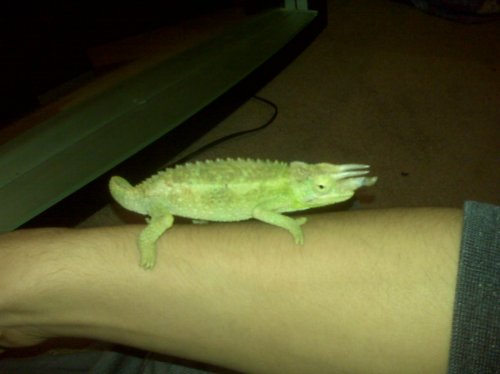 IMG00402.jpg