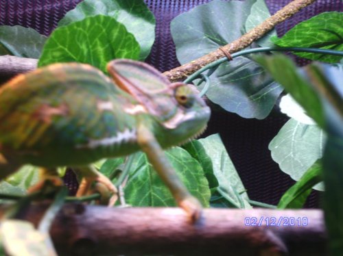 SANY2036.jpg