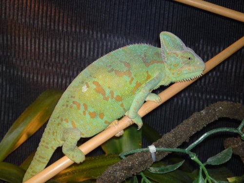12022010036.jpg