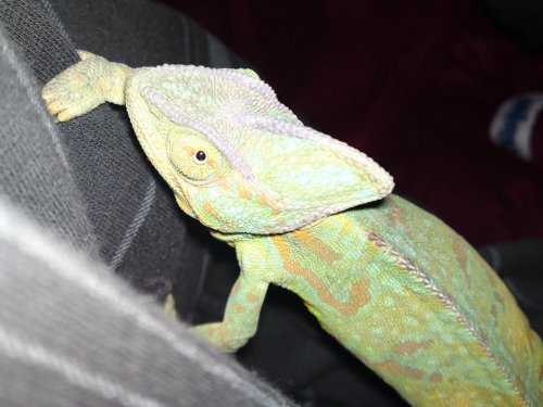 13022010046.jpg