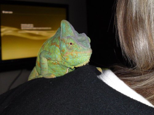 13022010048.jpg