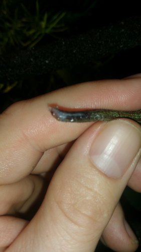 20151121_174234.jpg