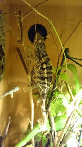 DSC_0010.JPG