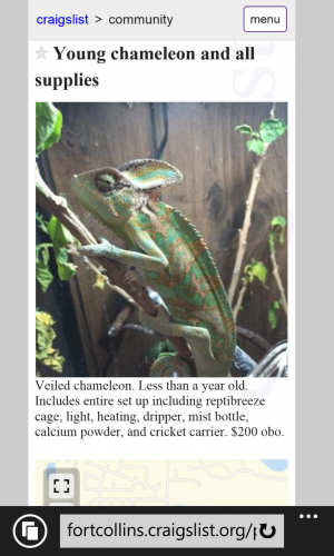 wp_ss_20151126_0002.png
