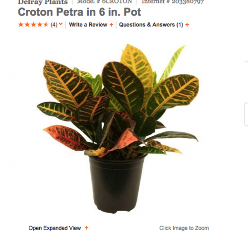 Screen Shot 2015-11-12 at 8.32.34 AM.png